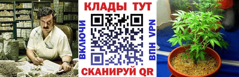 Купить Новосибирск АМФ  Псилоцибиновые грибы  COCAIN  Бошки Шишки 