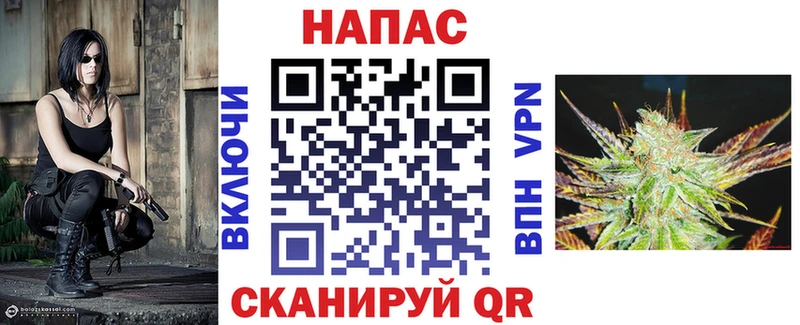 как найти закладки  Новосибирск  KRAKEN маркетплейс  Бошки марихуана White Widow 